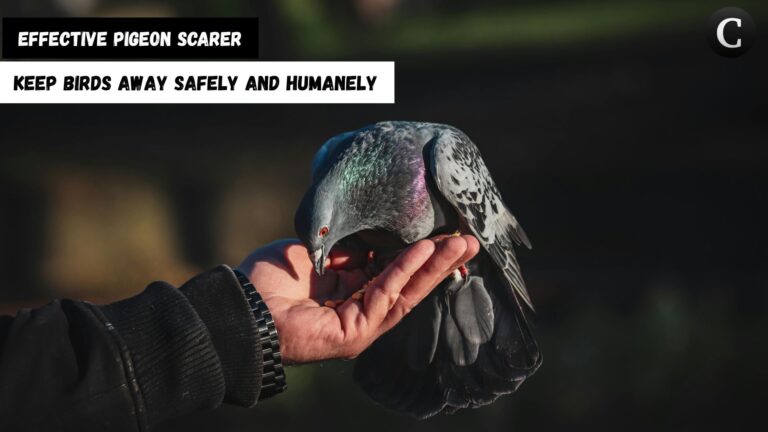 Effective Pigeon Scarer